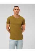 OLYMP T-Shirt Lindgrün