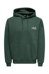 ONLY & SONS Backprint Hoodie Pine Grove