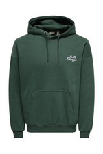 ONLY & SONS Backprint Hoodie Pine Grove