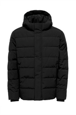 ONLY & SONS Winter Jacke Black