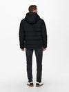 ONLY & SONS Winter Jacke Black