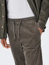 ONLY & SONS Cord Pant Falcon