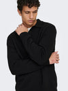 ONLY & SONS Polokragen Pullover Black